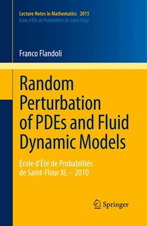 Random Perturbation of PDEs and Fluid Dynamic Models