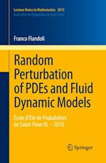 Random Perturbation of PDEs and Fluid Dynamic Models