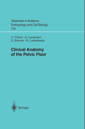 Clinical Anatomy of the Pelvic Floor