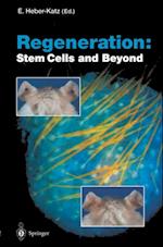 Regeneration: Stem Cells and Beyond