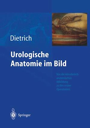 Urologische Anatomie im Bild