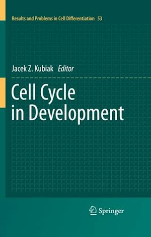 Cell Cycle in Development