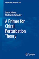 A Primer for Chiral Perturbation Theory