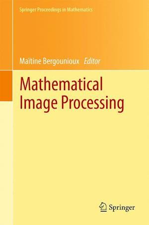 Mathematical Image Processing