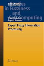 Expert Fuzzy Information Processing