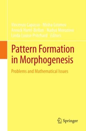 Pattern Formation in Morphogenesis