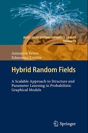 Hybrid Random Fields