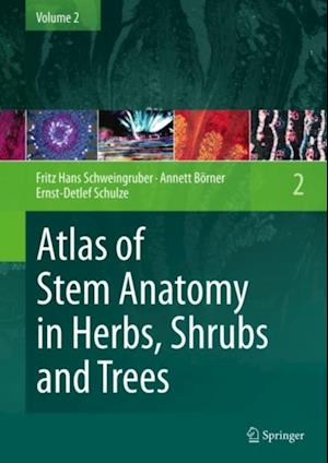 Atlas of Stem Anatomy in Herbs, Shrubs and Trees