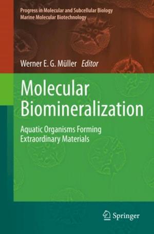 Molecular Biomineralization