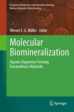 Molecular Biomineralization