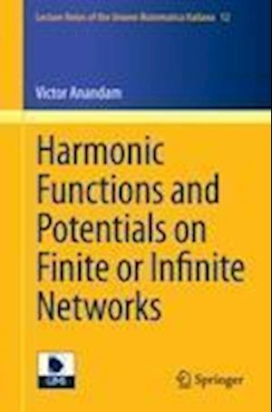 Harmonic Functions and Potentials on Finite or Infinite Networks