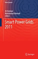 Smart Power Grids 2011