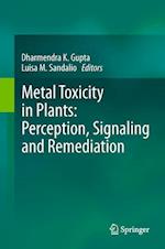 Metal Toxicity in Plants: Perception, Signaling and Remediation