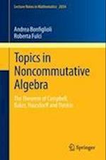 Topics in Noncommutative Algebra