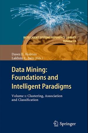 Data Mining: Foundations and Intelligent Paradigms