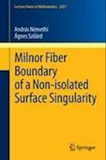 Milnor Fiber Boundary of a Non-isolated Surface Singularity