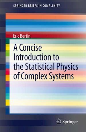 Concise Introduction to the Statistical Physics of Complex Systems