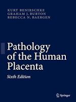 Pathology of the Human Placenta