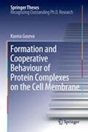 Formation and Cooperative Behaviour of Protein Complexes on the Cell Membrane