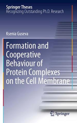 Formation and Cooperative Behaviour of Protein Complexes on the Cell Membrane