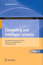 Computing and Intelligent Systems