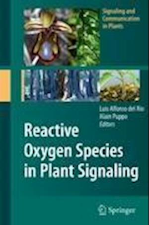 Reactive Oxygen Species in Plant Signaling