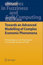 Towards an Advanced Modelling of Complex Economic Phenomena