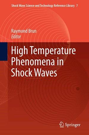 High Temperature Phenomena in Shock Waves