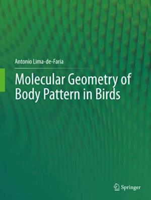 Molecular Geometry of Body Pattern in Birds