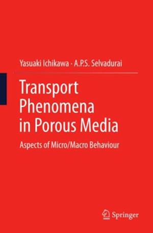 Transport Phenomena in Porous Media