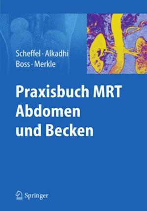 Praxisbuch MRT Abdomen und Becken