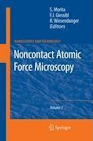 Noncontact Atomic Force Microscopy