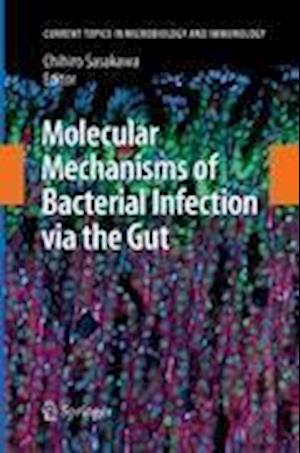 Molecular Mechanisms of Bacterial Infection via the Gut