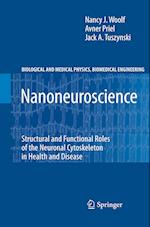 Nanoneuroscience