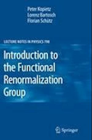 Introduction to the Functional Renormalization Group