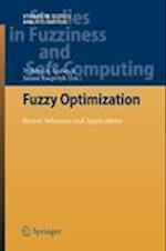 Fuzzy Optimization