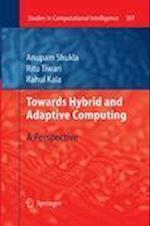 Towards Hybrid and Adaptive Computing