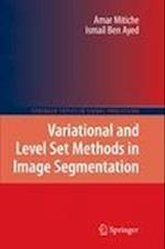 Variational and Level Set Methods in Image Segmentation