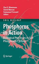 Phosphorus in Action