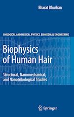 Biophysics of Human Hair