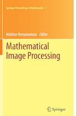 Mathematical Image Processing