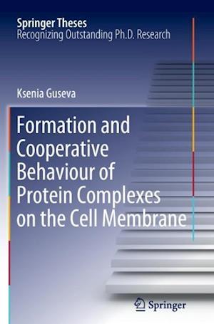 Formation and Cooperative Behaviour of Protein Complexes on the Cell Membrane