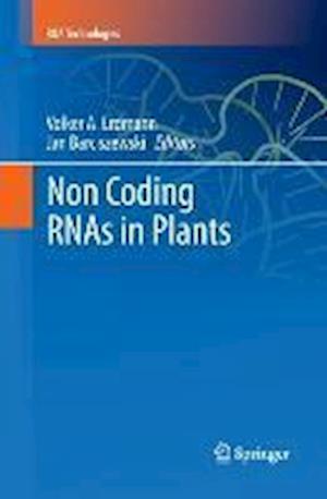 Non Coding RNAs in Plants