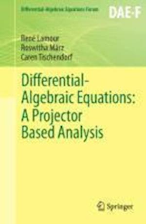 Differential-Algebraic Equations: A Projector Based Analysis