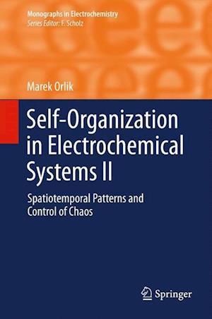 Self-Organization in Electrochemical Systems II