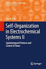 Self-Organization in Electrochemical Systems II