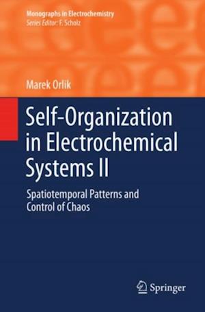 Self-Organization in Electrochemical Systems II