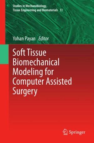 Soft Tissue Biomechanical Modeling for Computer Assisted Surgery