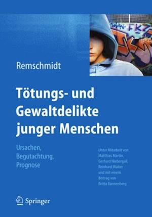 Tötungs- und Gewaltdelikte junger Menschen