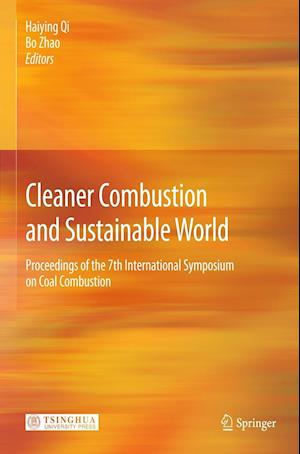 Cleaner Combustion and Sustainable World